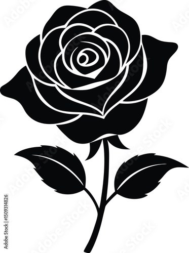 silhouette rose on the white background