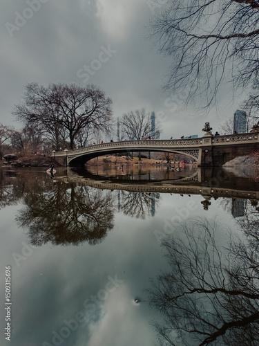 reflection of trees in the water