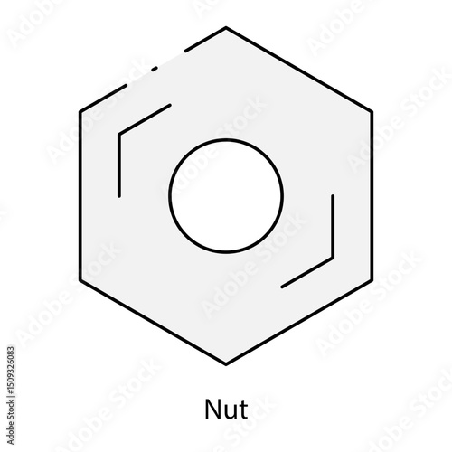 Nut single icon vector illustration