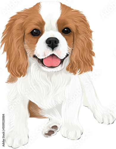 Cavalier Charles King Spaniel baby drawing puppy cute smiling happy dog