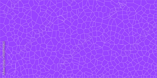 Organic art based on the symmetry of natural vein networks

