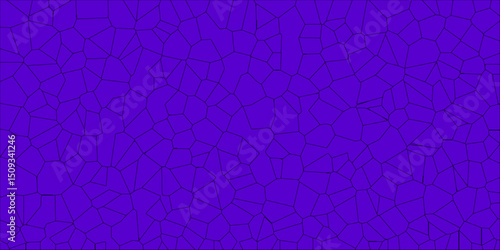 Stylized network pattern showing natural surface irregularities

