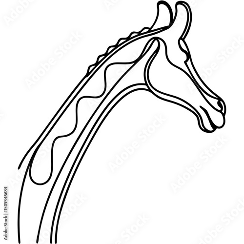 Giraffe neck line art. Elegant giraffe neck illustration for zoology textbooks or wildlife magazines. Detailed giraffe neck drawing perfect for educational posters and safari brochures.