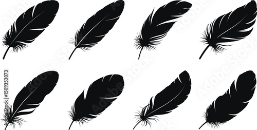 Eight black feathers arranged on a white background in a symmetrical and organized composition style