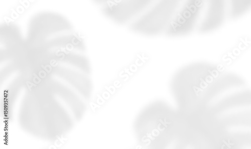 Realistic shadow of monstera leaf. The transparent shadow overlay effect tropical palm leaves isolated on transparent background. Vector illustration