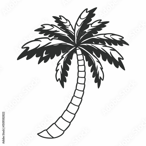 palm tree vector illustration