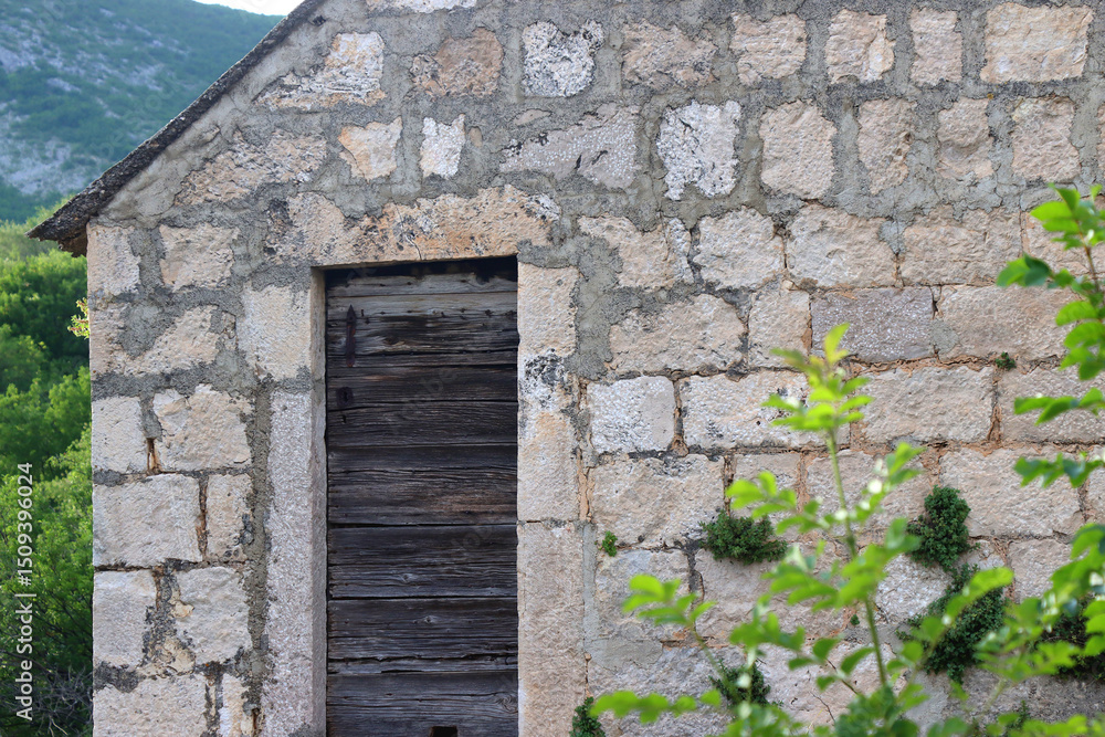 Fototapeta premium Old traditional Mediterranean cottage, covered with plants and flowers.