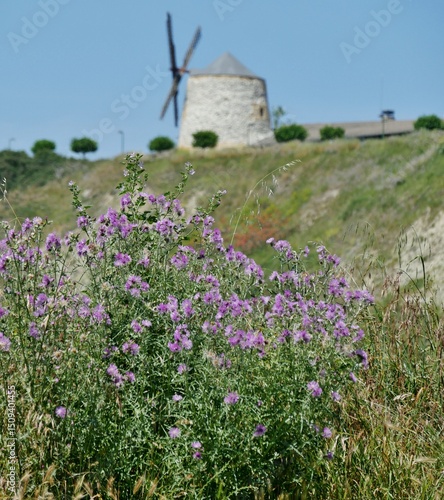 Windmühle Aixerrota bei Gexko Baskenland