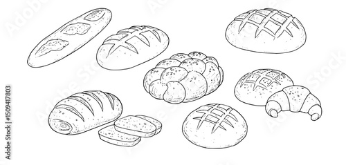 Different types of bread outline. Bread engraving, line art vector illustration. Wheat products, baked goods, bakery, pastry