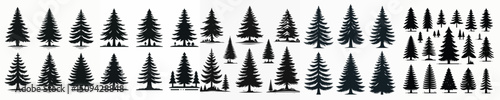 Vector set image silhouette of pine tree.