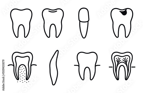 Dental and tooth anatomy icons set - silhouette, oral health and cavity symbols