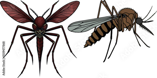 Mosquito vector.eps