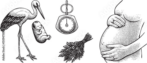 stork cradles a newborn within its nest alongside a balance scale and bundles of herbs.