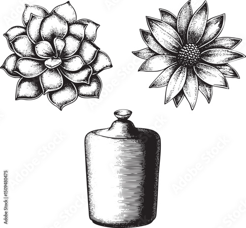 detailed black and white showcases a succulent plant a stylized flower and a decorative vase.