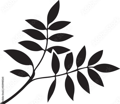 stark black branch with several dark green leaves rests against a white background.