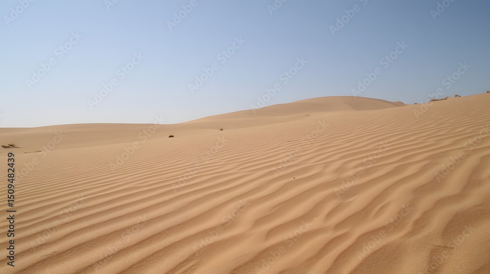 Scenic Rippled Sand Dunes in Desert Landscape Scenic Rippled Sand Dunes in Desert Landscape