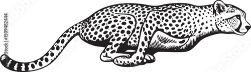 black and white cheetah runs swiftly across a plain.