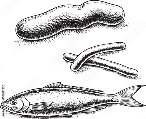Three elongated shapes including a fish are depicted in black and white.