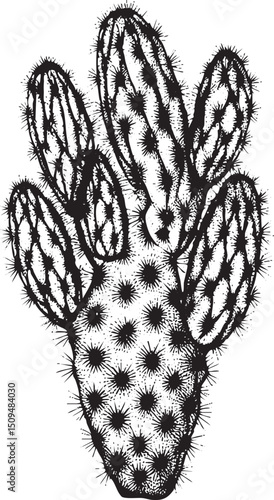 cluster of spiky cacti rises vertically against a white background.