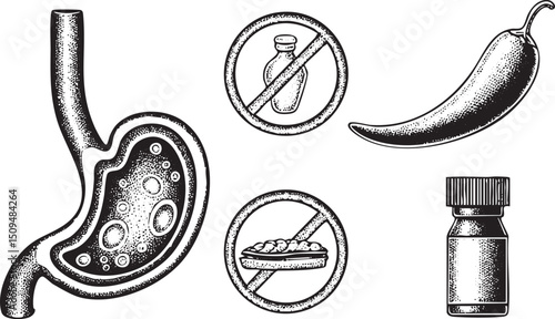 stylized black and white depicts a stomach a bottle with a cross through it a chili pepper and a small glass vial.