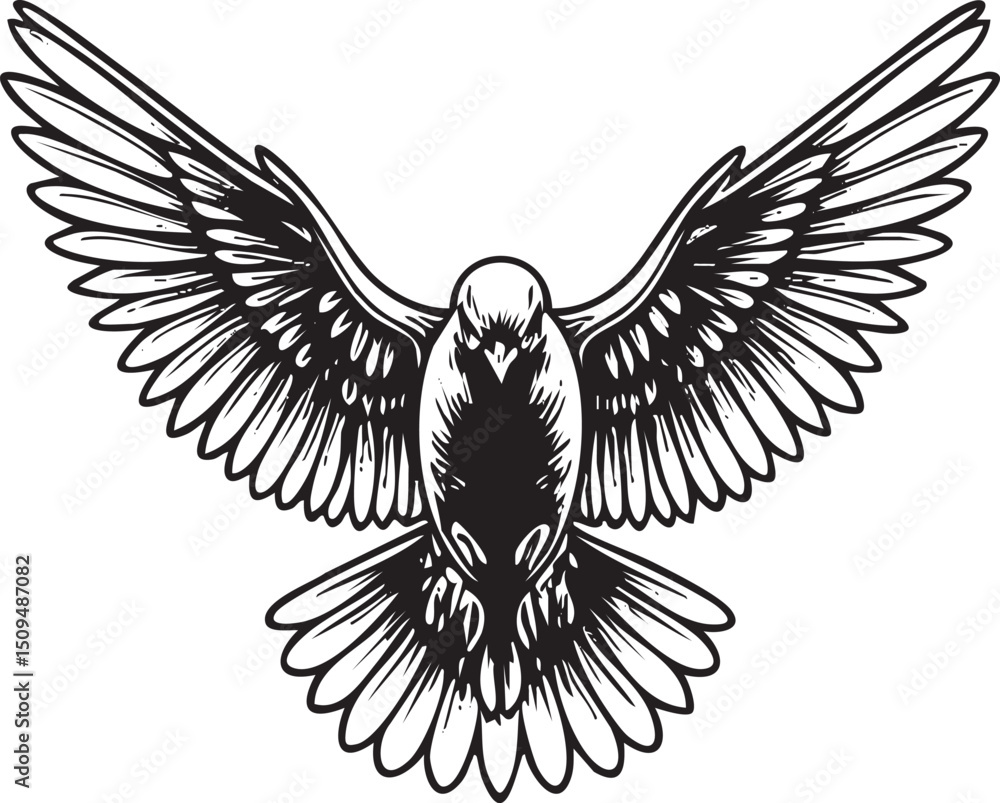 Obraz premium stylized black and white of a soaring hawk in flight.