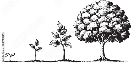 stylized depicts a sequence of plants growing from a tiny seed into a mature tree.