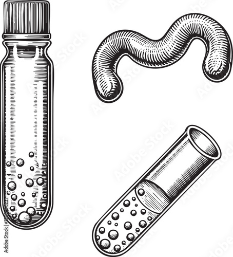 grayscale depicts a test tube containing liquid bubbles and a coiled worm.