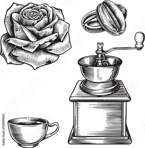 detailed black and white depicts a rose coffee beans a coffee grinder and a cup of dark beverage.