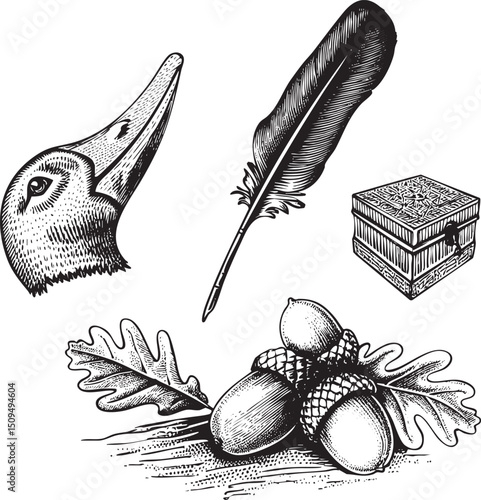 stylized depicts a bird's head a quill pen and an ornate wooden box alongside acorns and autumn leaves.