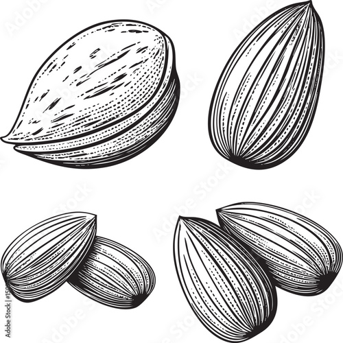 Four almonds are displayed in various orientations showcasing their textured surfaces.