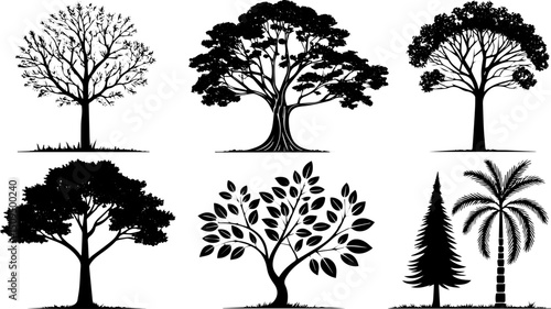 Vector Tree Silhouettes Pack, Deciduous, Tropical, and Evergreen Tree Illustrations Collection