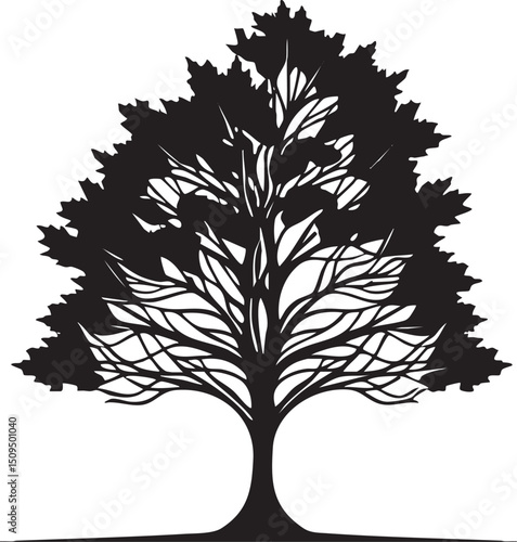 stark silhouette of a mature tree dominates the .