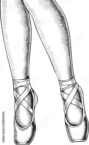 Elegant ballet dancer's legs in pointe shoes are poised for movement.