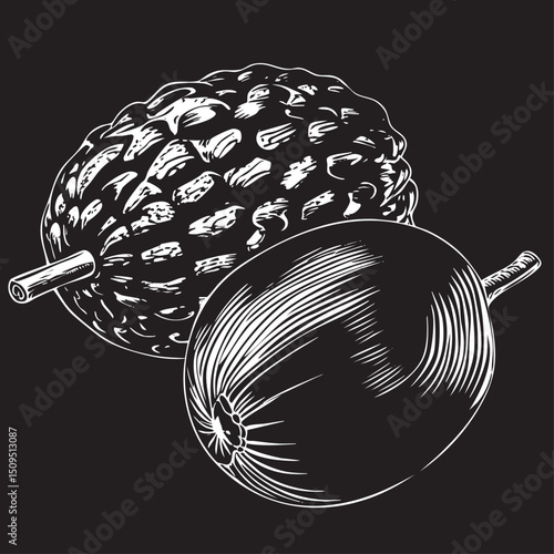 Two spherical fruits rest on a textured surface.