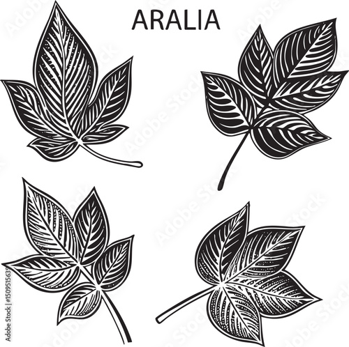 Four black and white stylized leaves are arranged in a square formation.