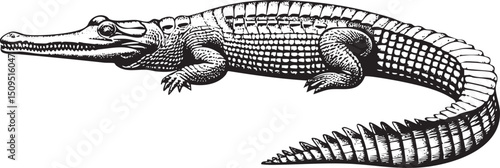 black alligator rests calmly on a white surface.