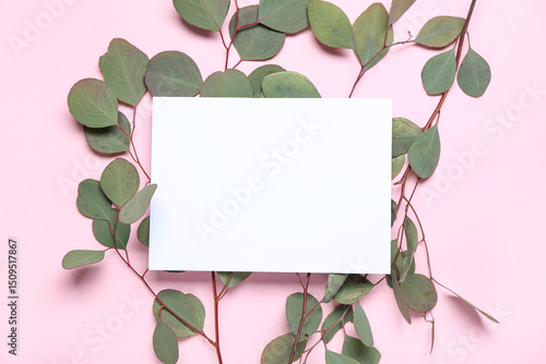 Eucalyptus branch and blank...