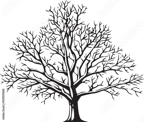 stark bare tree stands silhouetted against a white background.