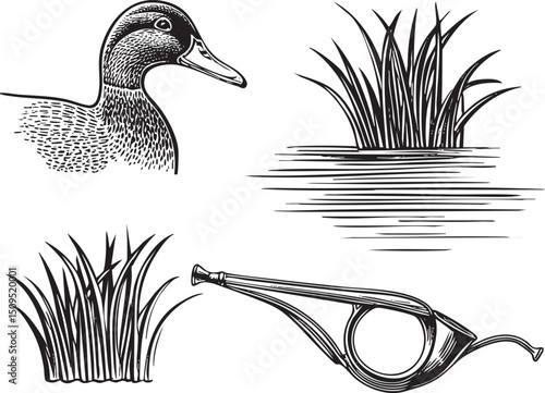 detailed black and white depicts a duck facing left beside reeds and water.