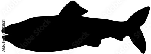 Lake Trout Silhouette Vector Fish Shadow Illustration