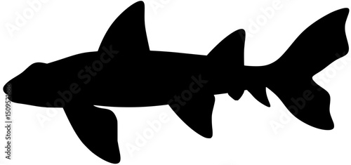 Horn Shark Silhouette Vector Shadow Illustration