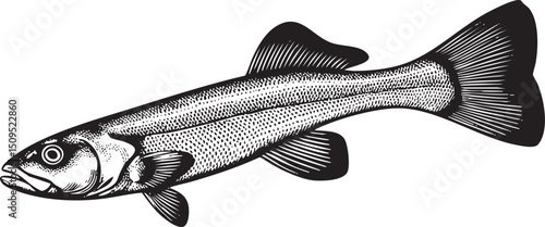 lone gray fish swims gracefully through clear water.