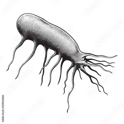 stylized elongated figure with intricate root-like appendages extends outwards.