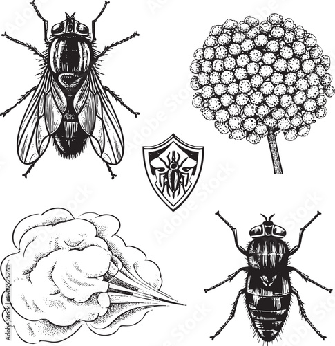 Two flies hover near a shield and a stylized tree.