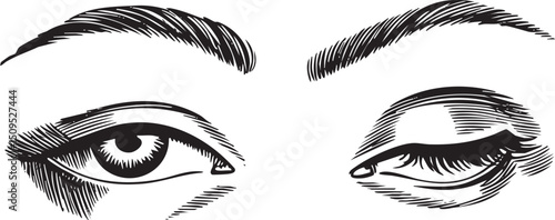 Two expressive eyes with thick lashes gaze intently.