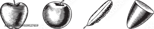 linear arrangement of stylized fruit and writing implements.