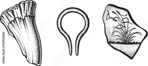 Three ancient stone tools rest on a weathered surface.