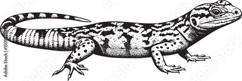 black lizard crawls across a white surface.