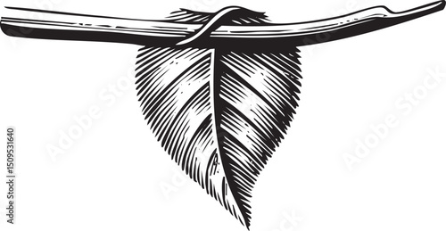 stylized leaf hangs suspended showcasing intricate detail and a sense of serenity.