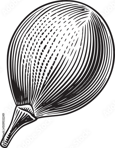 detailed black and white of a hot air balloon.